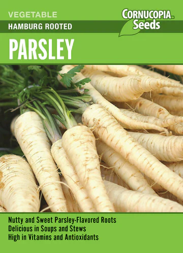 Root Parsley Hamburg Rooted - Cornucopia Seeds