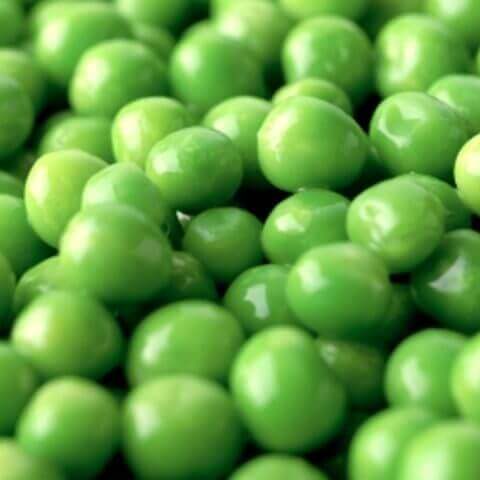 Peas Alaska Large - Ontario Seed Company