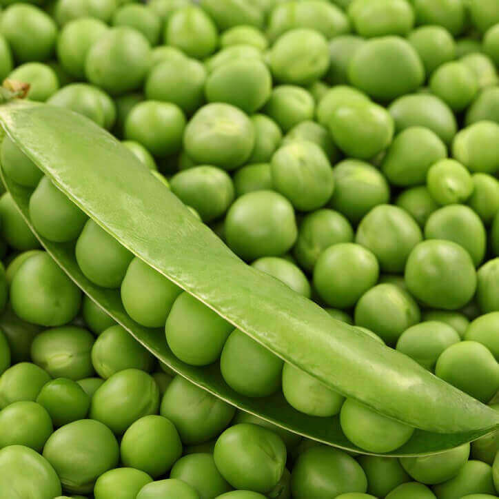 Peas Alderman Large - Ontario Seed Company
