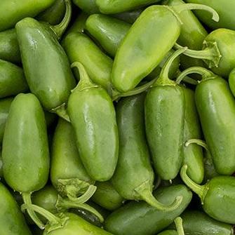 Pepper Jalapeno Early Hot - Saanich Organics - Image 2