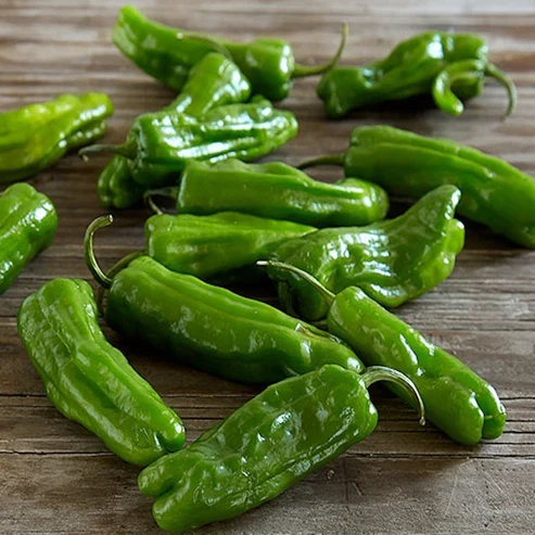 Pepper Shishito - Saanich Organics