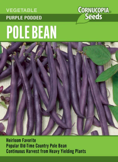 Bean Purple Podded - Cornucopia Seeds