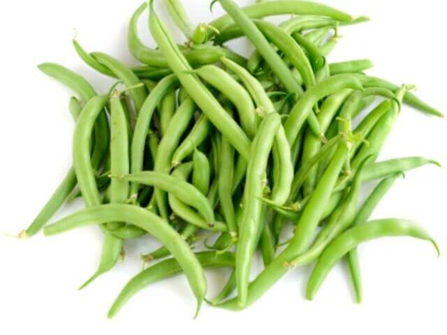 Pole Beans Blue Lake FMI Large - Ontario Seed Company