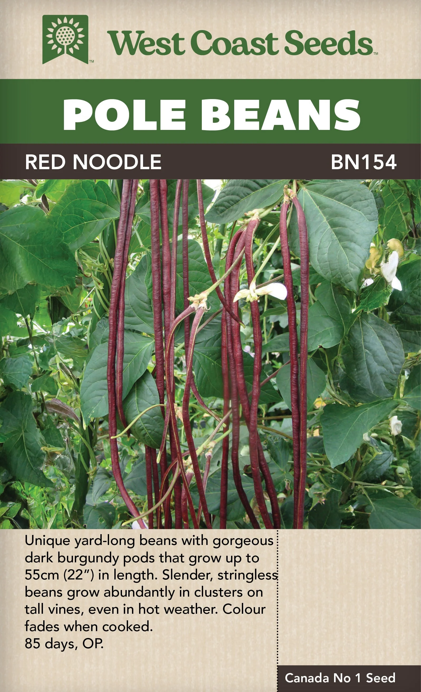 Beans Red Noodle Pole - West Coast Seeds