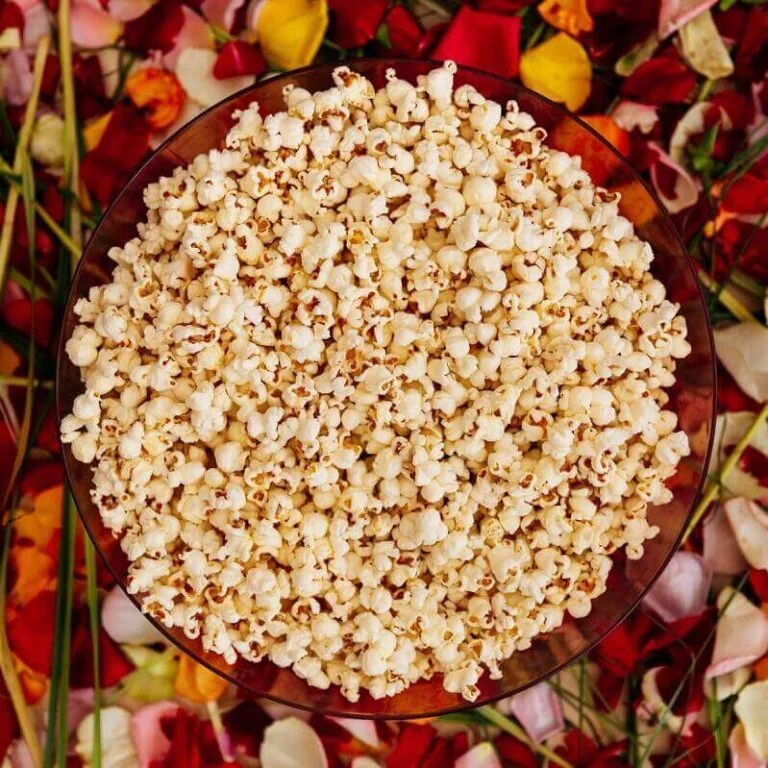 Popcorn Robust R98114W Large - Ontario Seed Company
