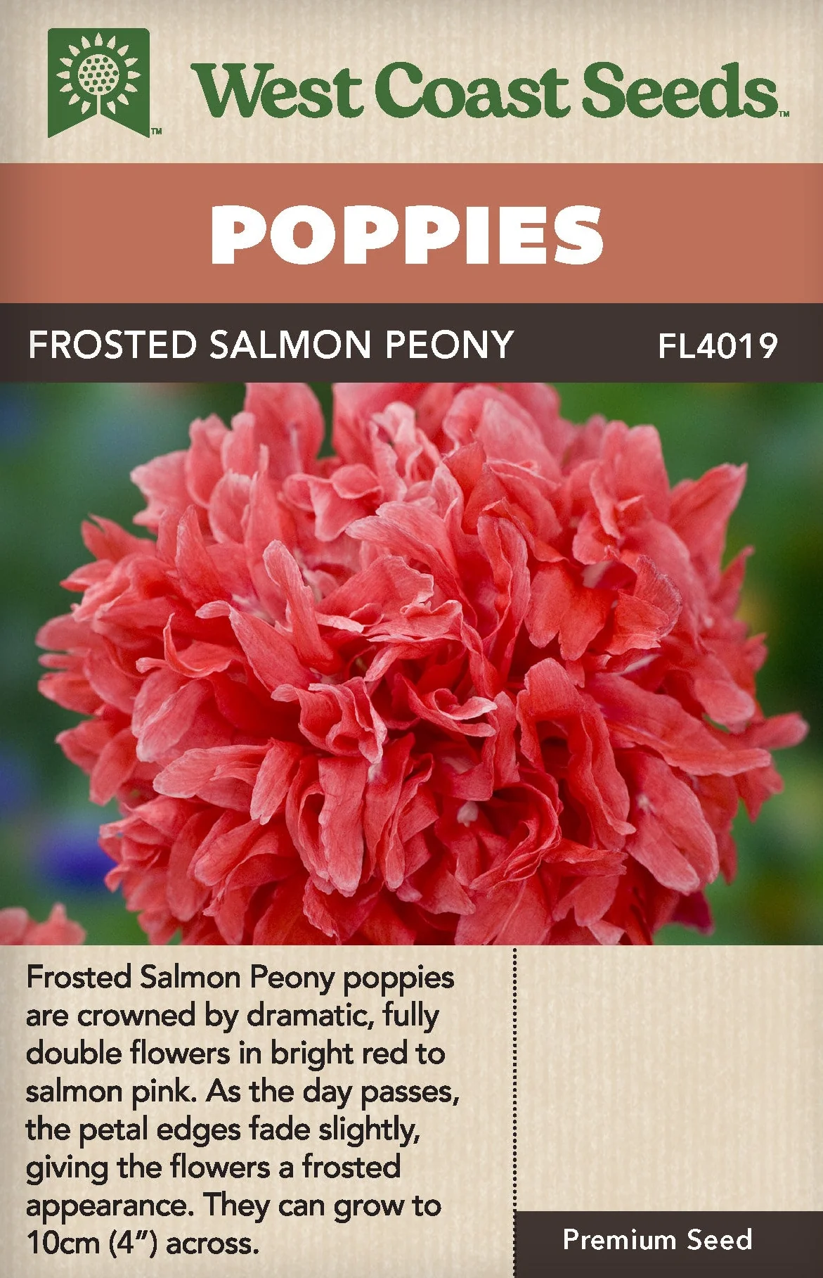 Poppies Frosted Salmon Peony - West Coast Seeds