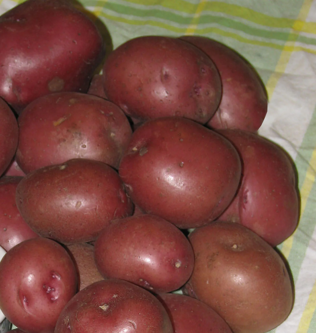 Potatoes - Combo Sack 1, 1.5 kg - Image 2