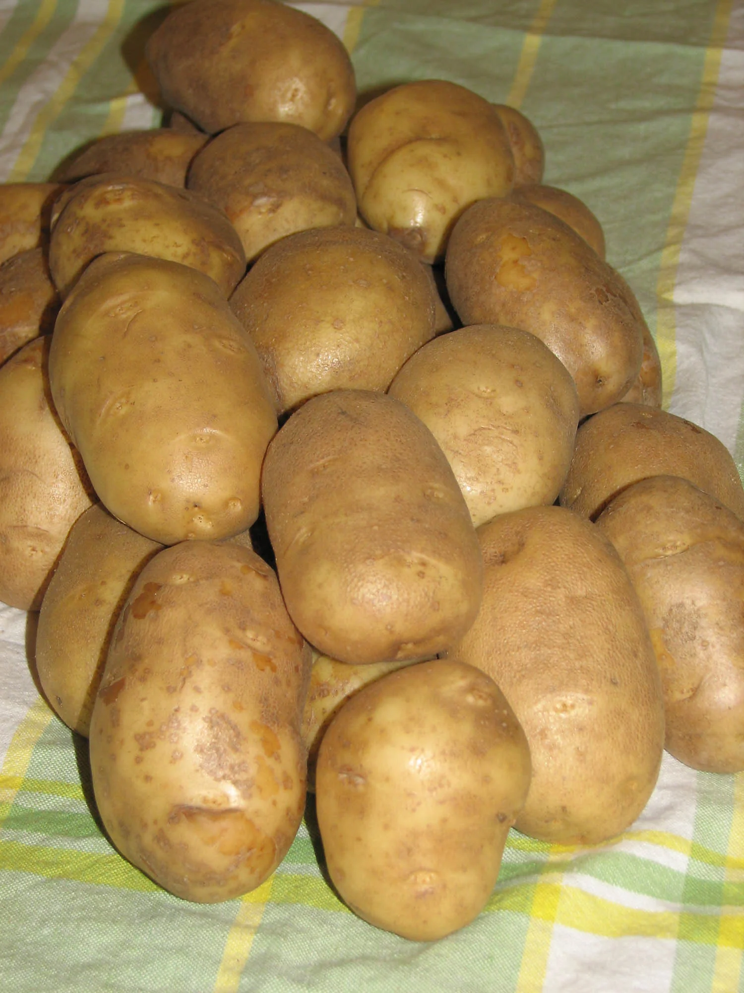 Potatoes - Combo Sack 1, 1.5 kg - Image 4