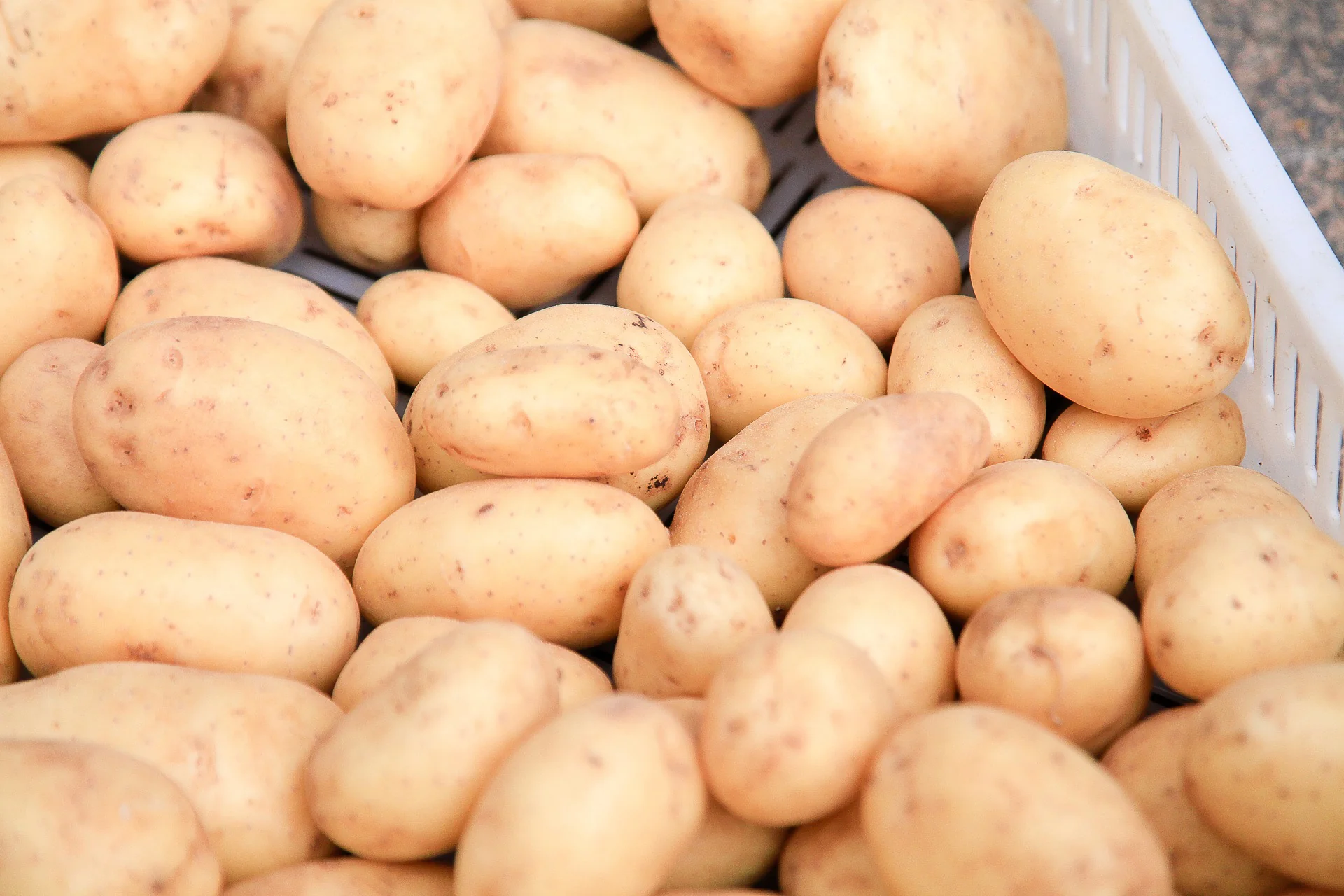 Potatoes - Combo Sack 2, 1.5 kg - Image 4