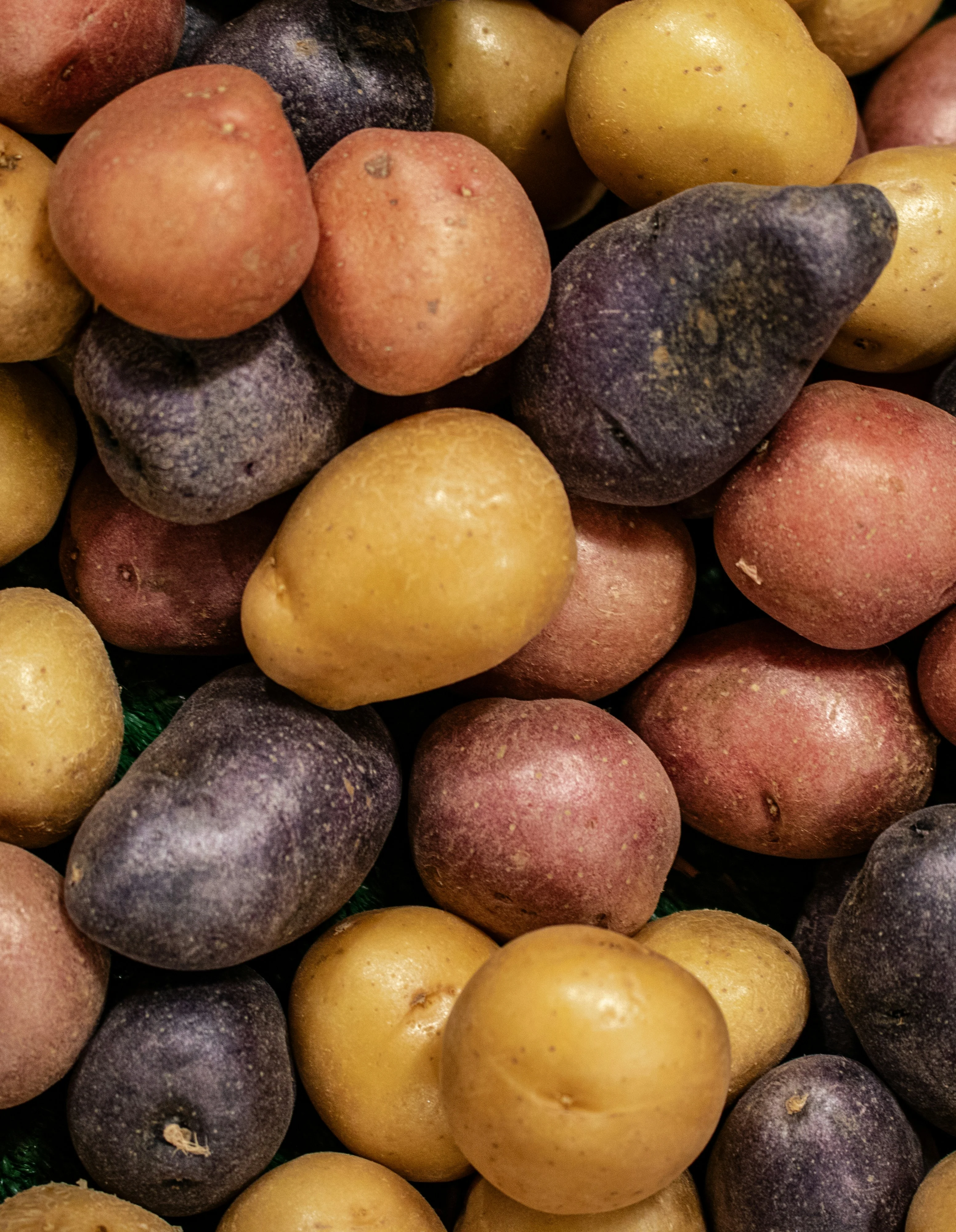 Potatoes - Creamer Combo Sack, 1.5kg - Image 2