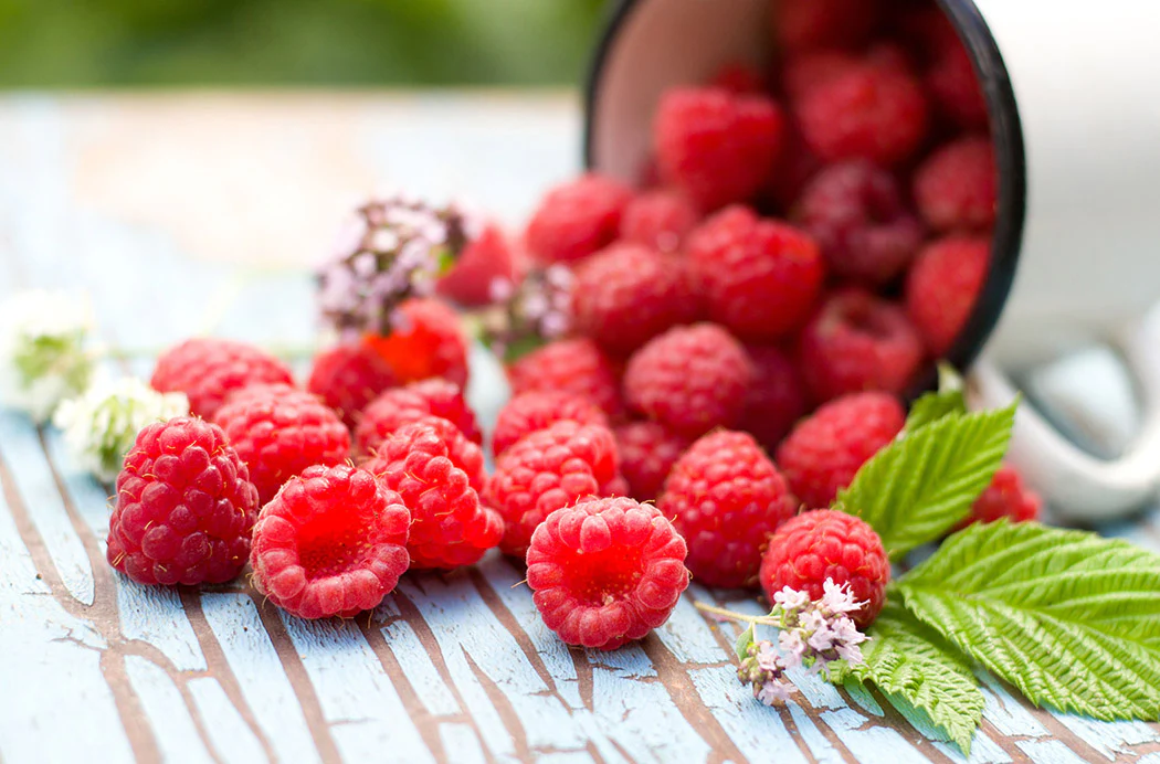 Raspberry - Prelude, Everbearing - Image 2