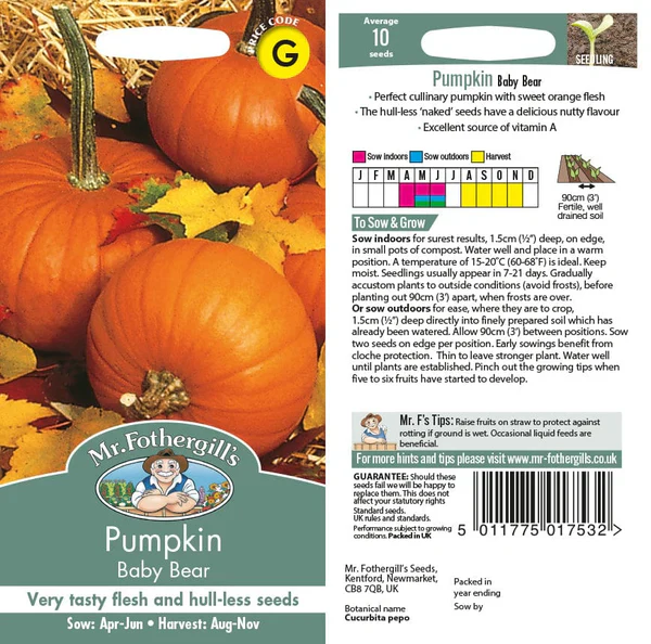 Pumpkin Baby Bear - Mr. Fothergill's Seeds - Image 2
