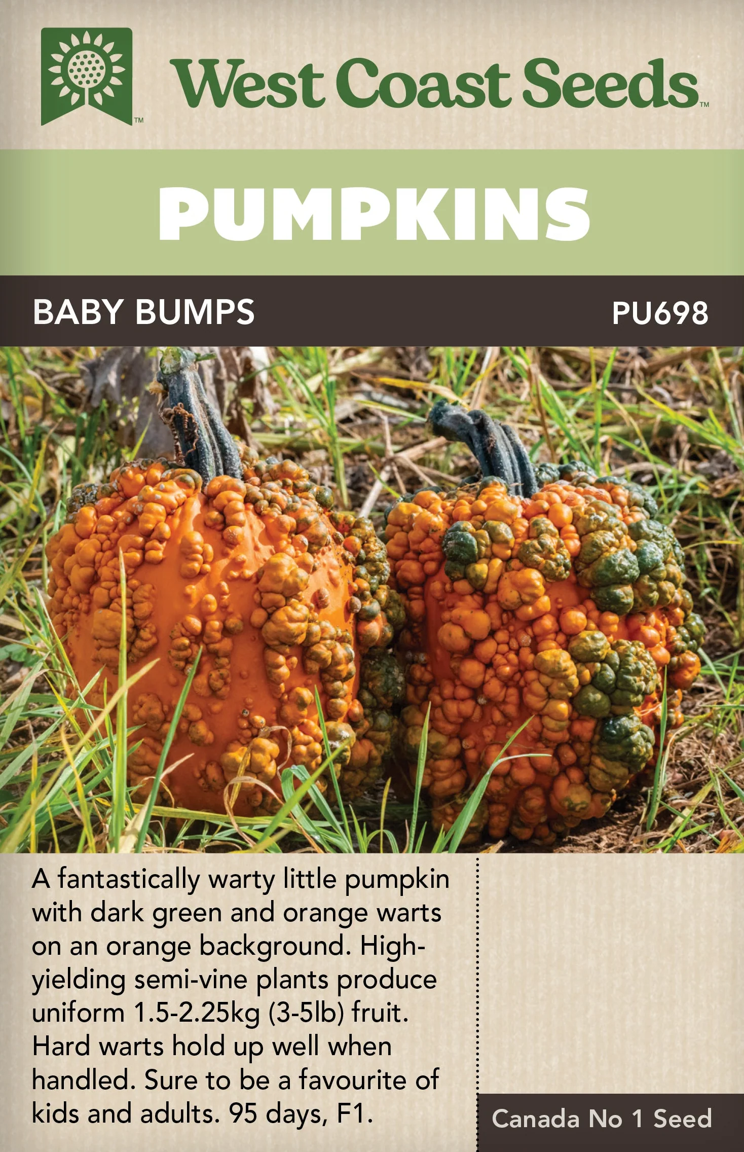Pumpkin Baby Bumps - West Coast Seeds