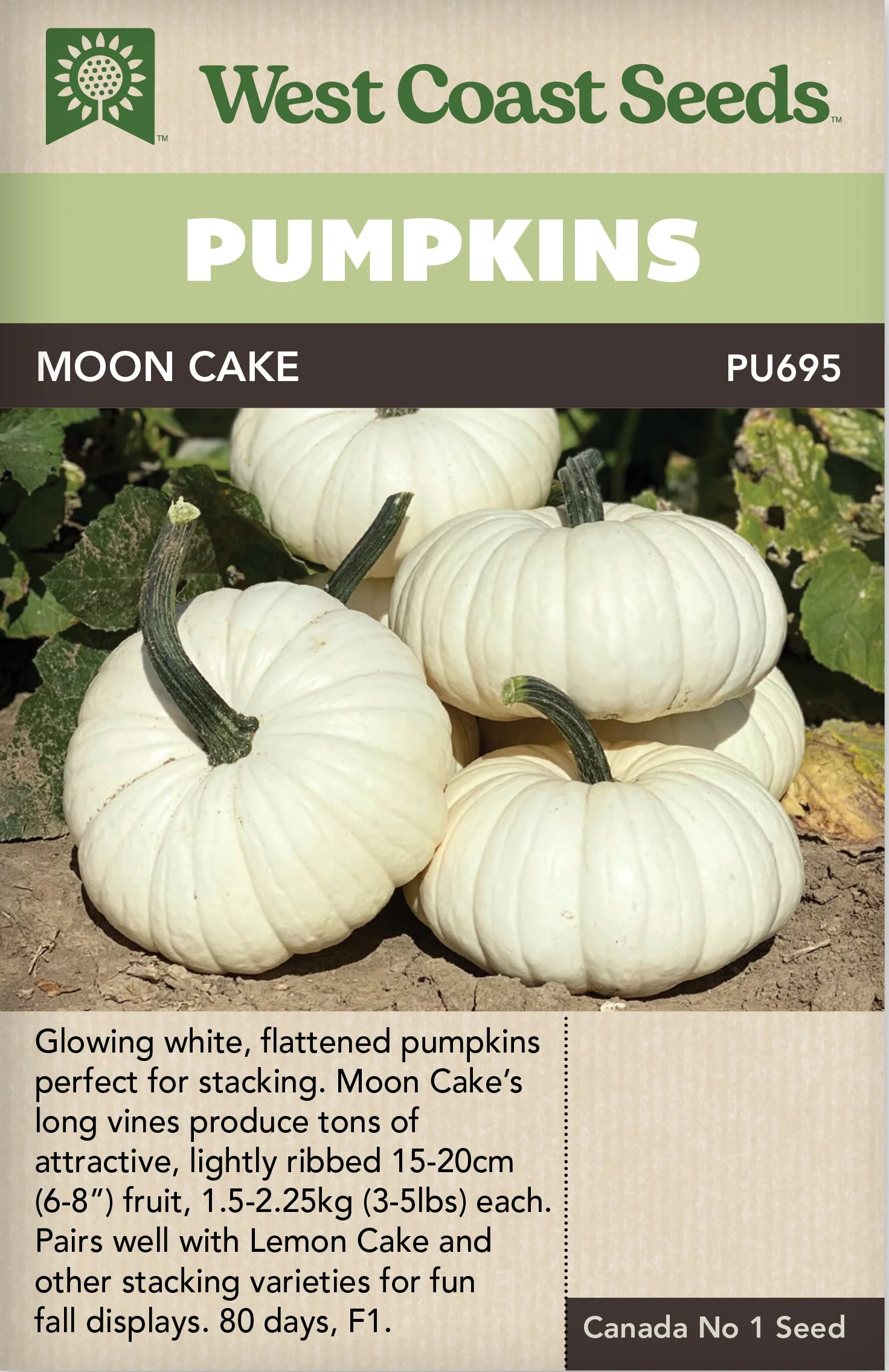 Pumpkin Moon Cake - West Coast Seeds