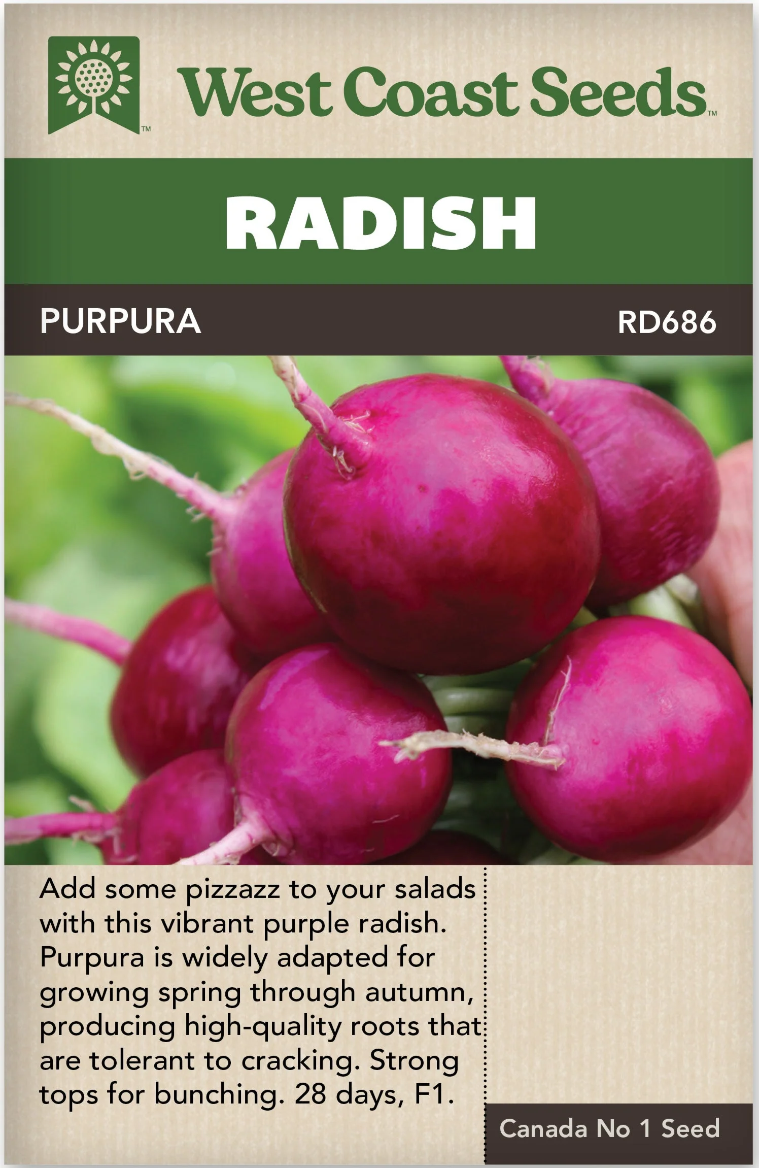 Radish Purpura - West Coast Seeds