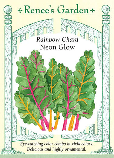 Chard Neon Glow - Renee's Garden