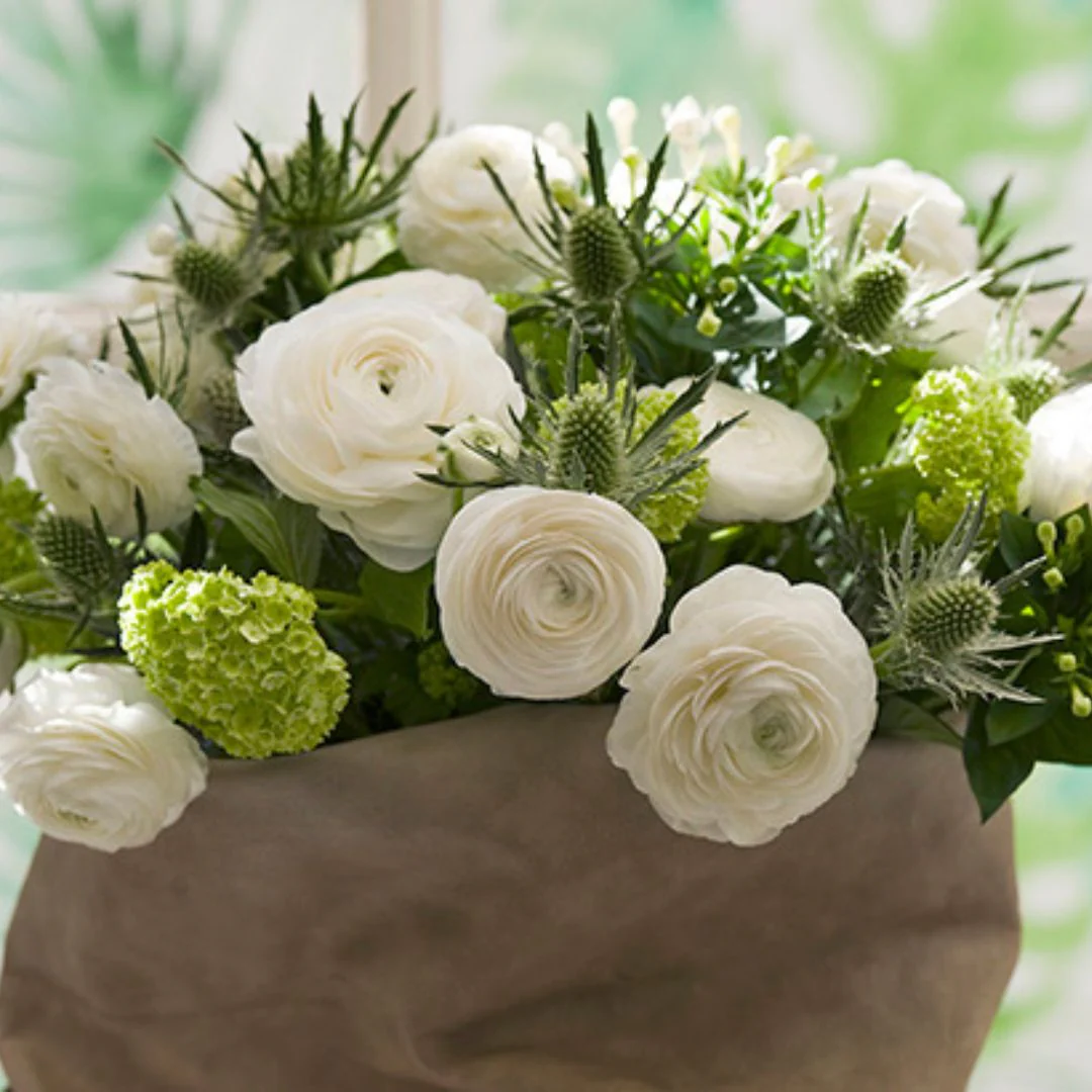 Ranunculus - Amandine White (Spring) 5 Pack - Image 2