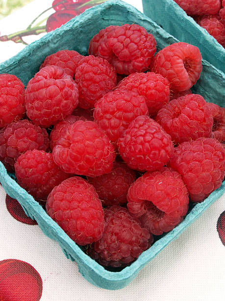 Raspberry - Canby, Summer Bearing - Image 2