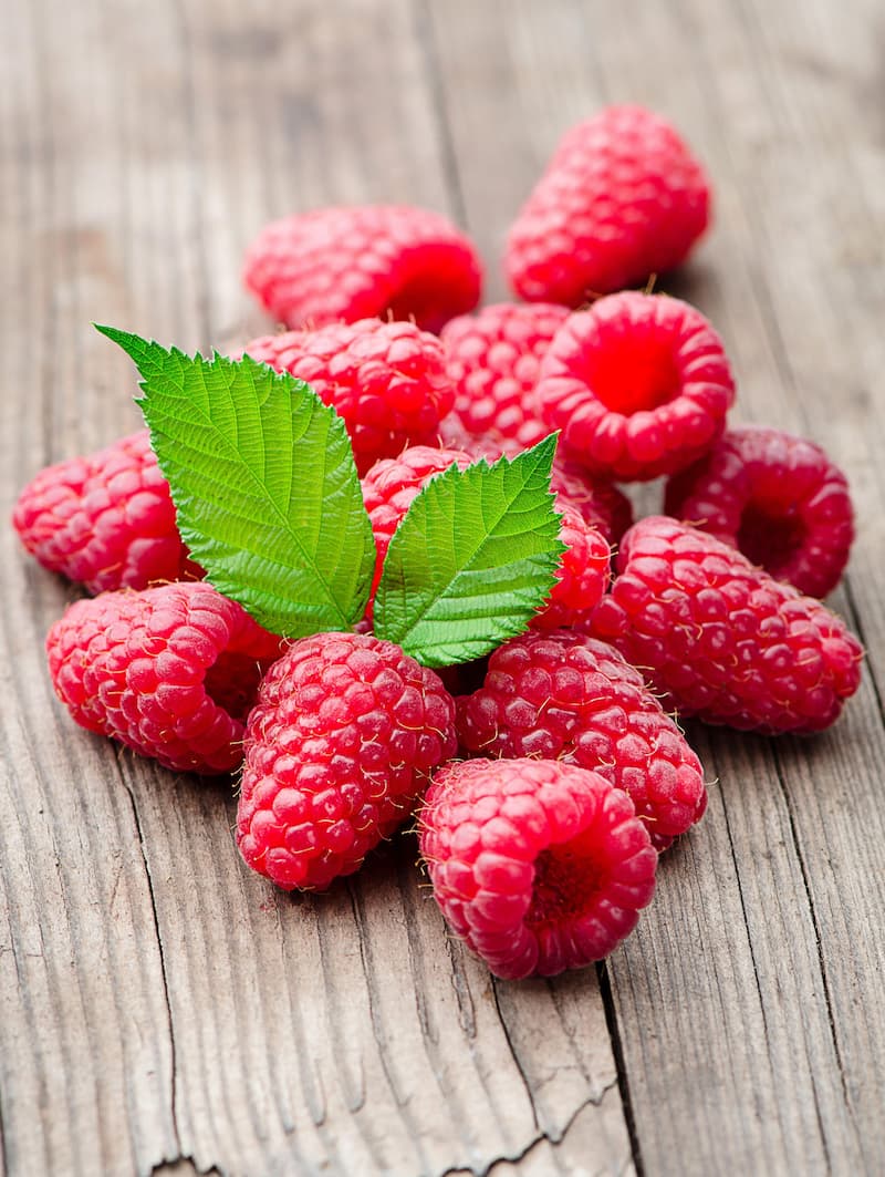 Raspberry - Crimson Giant, Everbearing
