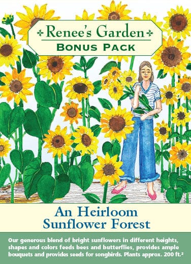 Sunflower An Heirloom Sunflower Forest Bonus Pack - Renee's Garden