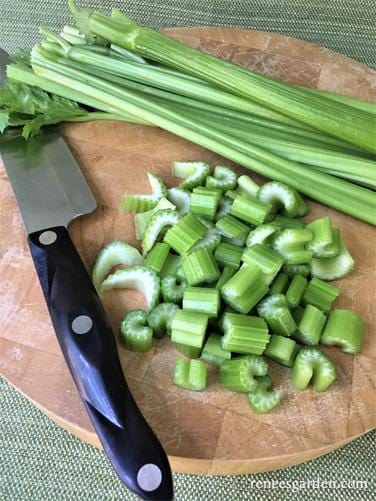 Celery Merlin - Renee's Garden - Image 6
