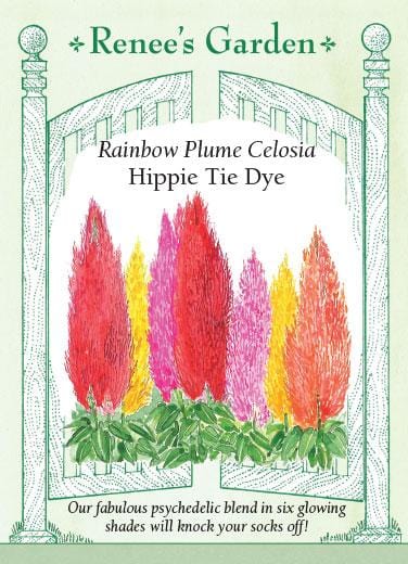 Celosia Hippie Tie Dye Mix - Renee's Garden