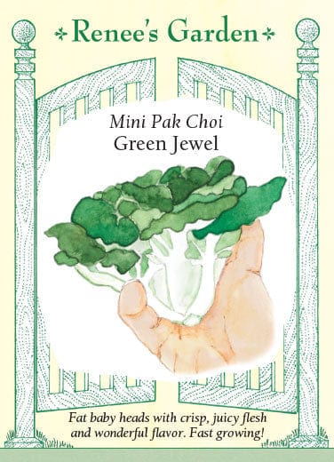 Pak Choi Green Jewel - Renee's Garden