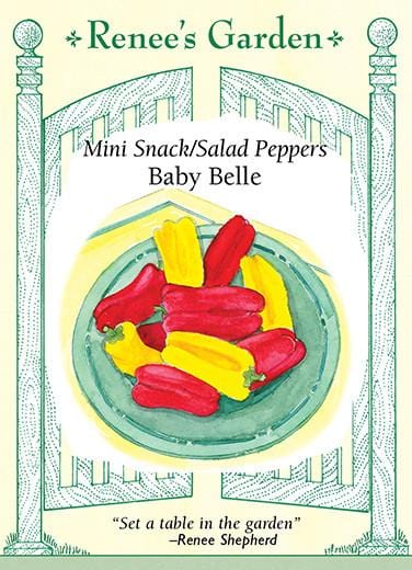 Pepper Baby Belle - Renee's Garden - Image 2