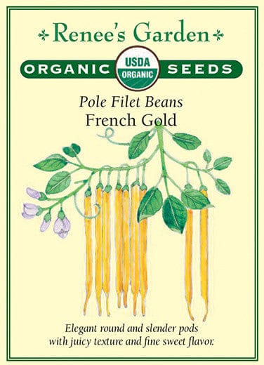 Organic Bean French Gold - Renee's Garden