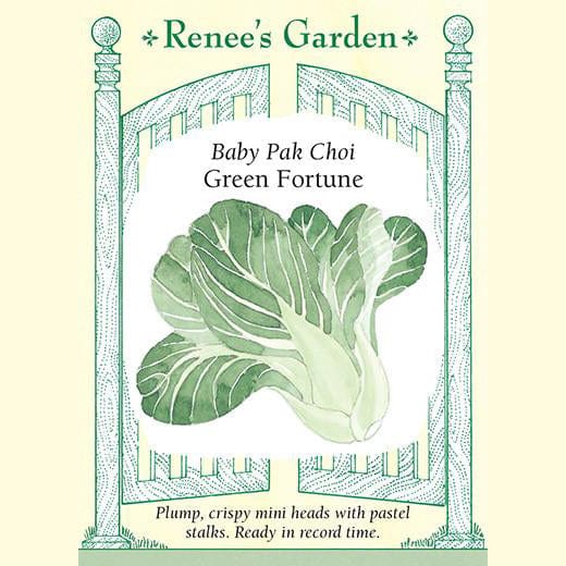 Pak Choi Green Fortune - Renee's Garden