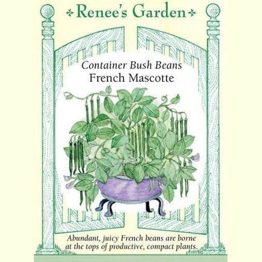 Bean French Mascotte - Renee's Garden
