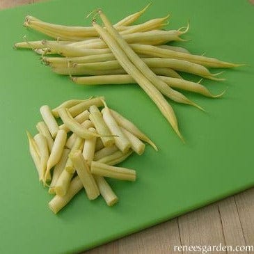 Organic Bean Roc d'Or - Renee's Garden - Image 2
