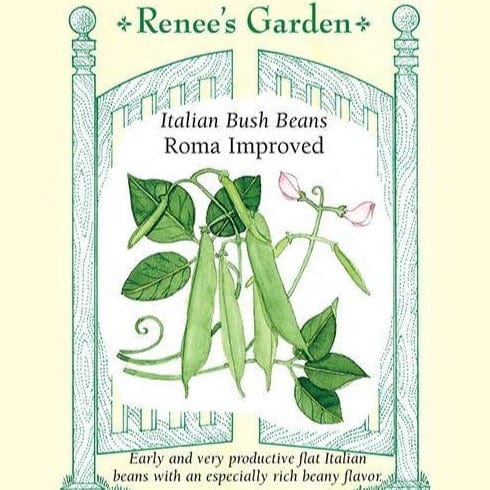 Bean Roma Improved - Renee's Garden