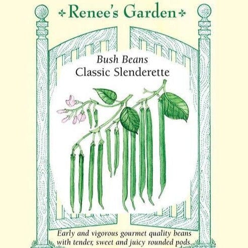 Bean Classic Slenderette - Renee's Garden