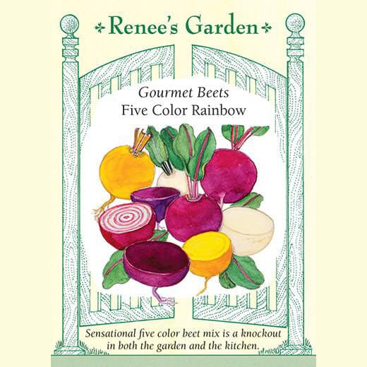 Beet Five Color Rainbow - Renee's Garden