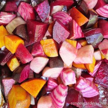 Beet Five Color Rainbow - Renee's Garden - Image 3