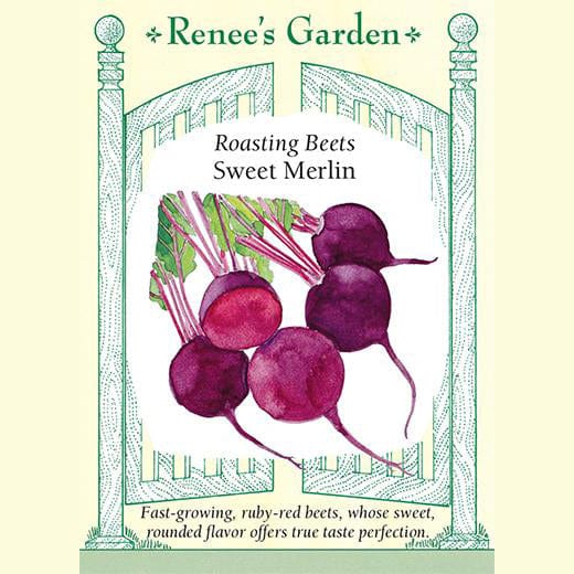 Beet Sweet Merlin - Renee's Garden