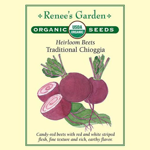 Organic Beet Traditional Chioggia - Renee's Garden