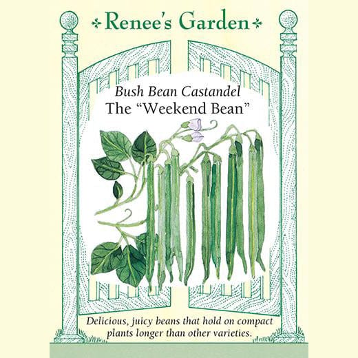 Bean The "Weekend Bean" - Renee's Garden