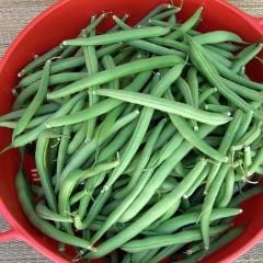 Organic Bean Provider - Renee's Garden - Image 2