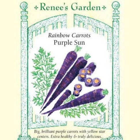 Carrot Purple Sun - Renee`s Garden