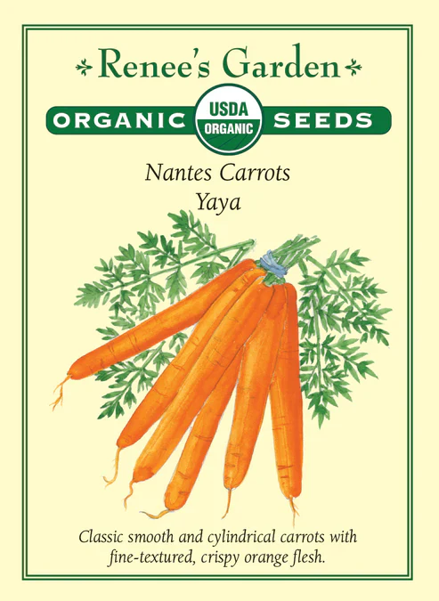 Organic Carrot Yaya - Renee's Garden