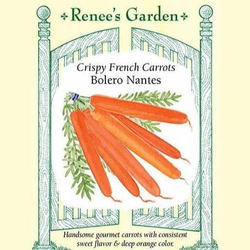 Carrot Bolero Nantes - Renee's Garden