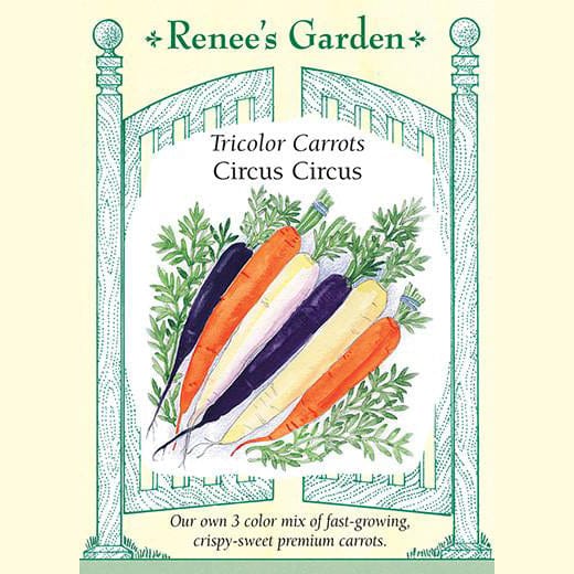 Carrot Circus Circus - Renee's Garden