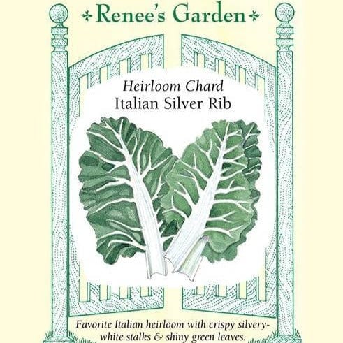 Chard Italian Silver Rib - Renee's Garden
