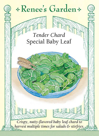 Chard Special Baby Leaf - Renee's Garden
