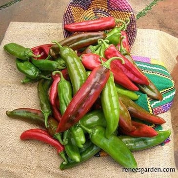 Pepper NuMex Joe E Parker - Renee's Garden - Image 3