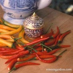 Pepper Chile Peppers True Thai - Renee's Garden - Image 2