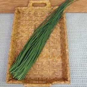 Organic Chives Culinary - Renee's Garden - Image 3