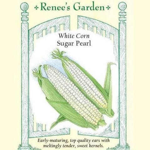 Corn Sugar Pearl - Renee's Garden